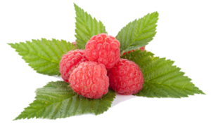 ketones-raspberries